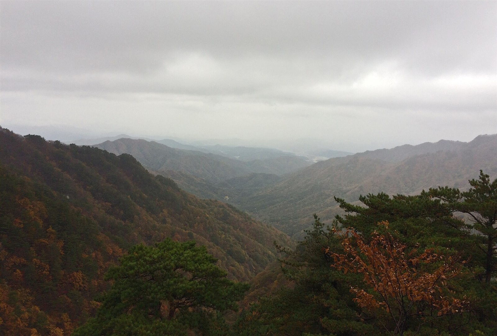 치악산 풍경
