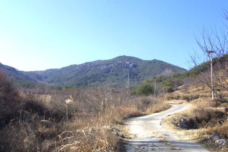 대성산 풍경