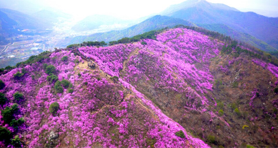 고려산 풍경