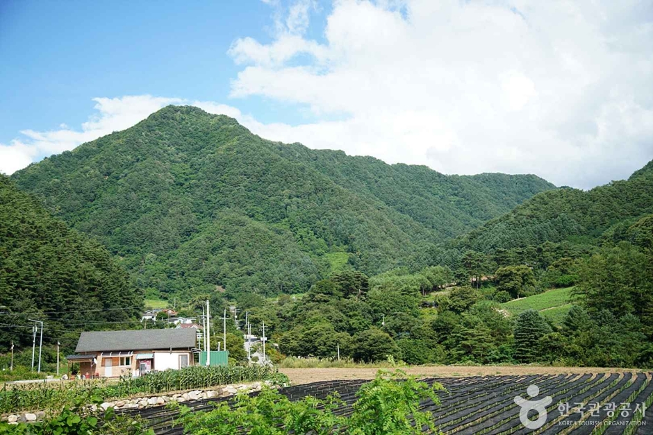 목우산 풍경
