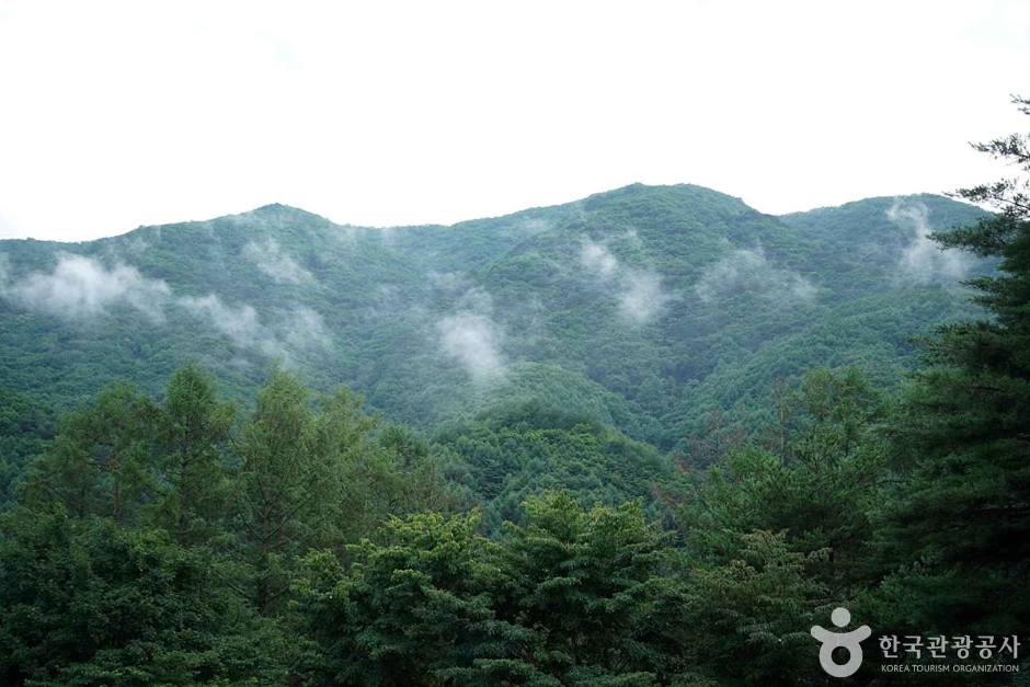 선달산 풍경