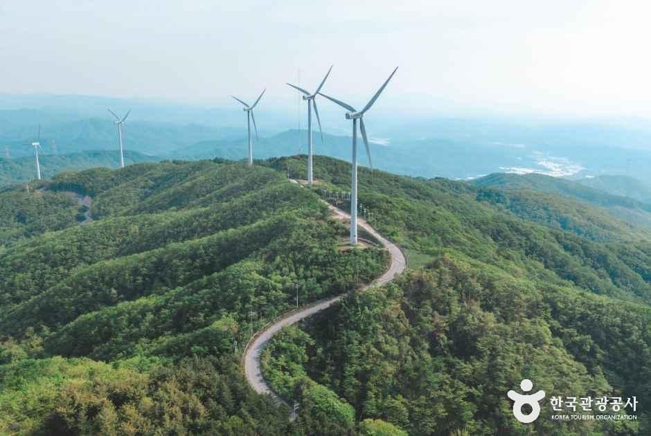 태기산 풍경