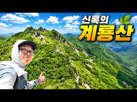 신록의 계룡산 자연성릉을 가봐야 하는 이유 | 동학사 원점회귀 국민코스 영상 썸네일