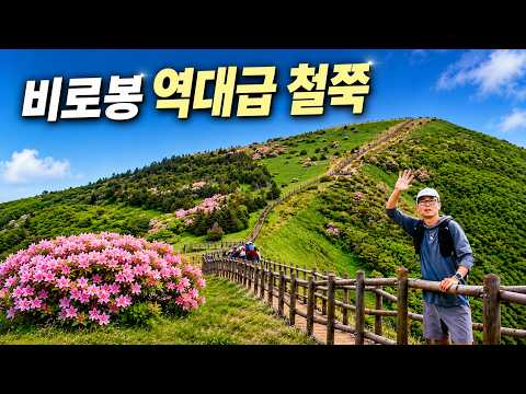 소백산 비로봉 역대급 철쭉 보고 왔습니다 | 올해 철쭉은 여기로 가세요 영상 썸네일