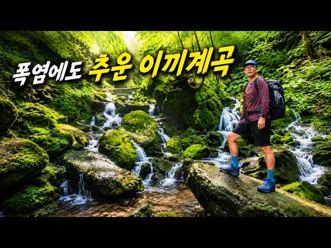 35도 폭염에도 손시린 요정의 계곡, 가리왕산 이끼계곡 백패킹 영상 썸네일