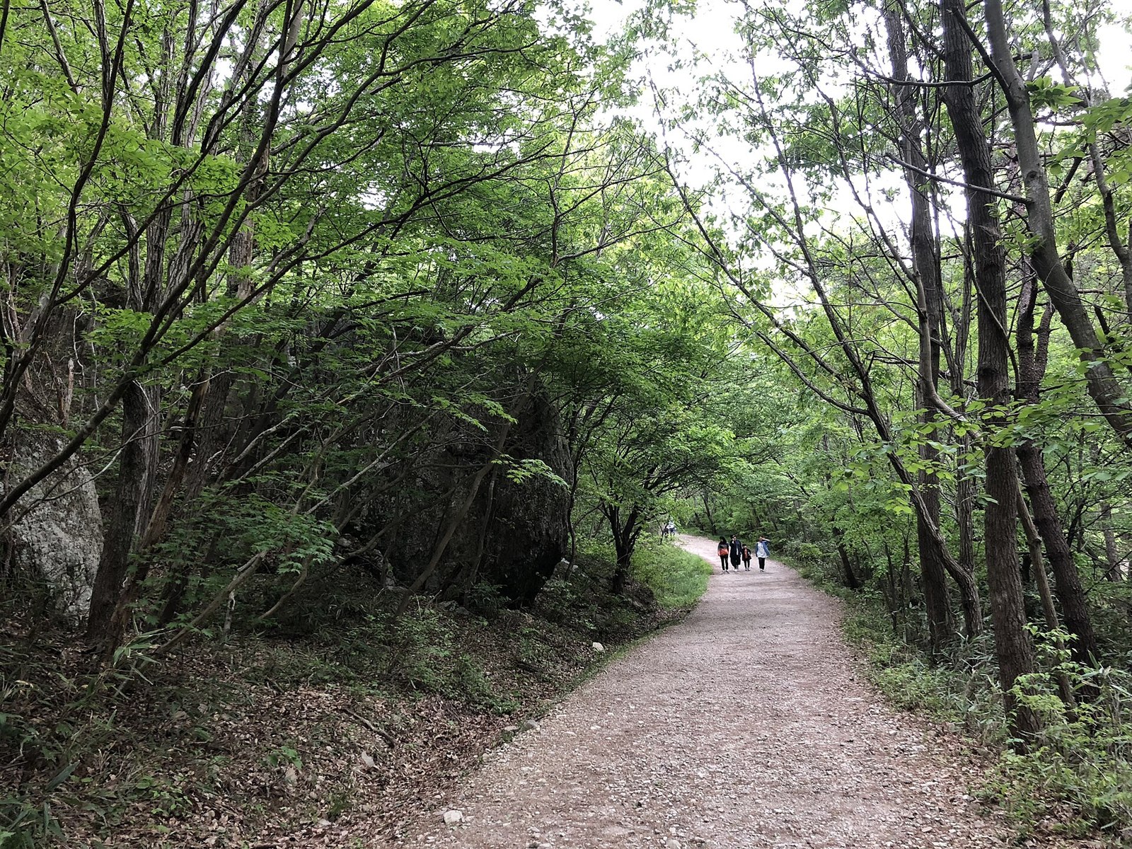 변산반도