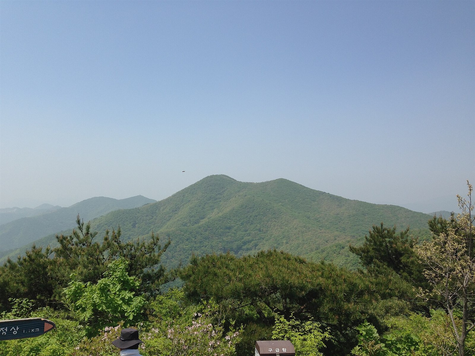 대운산
