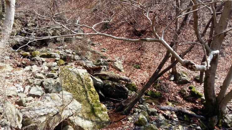 단석산
