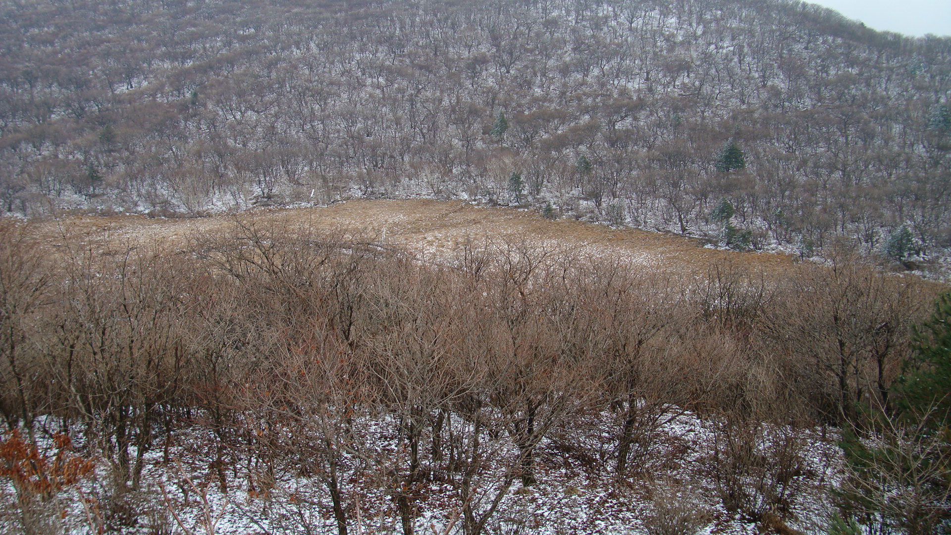 대암산