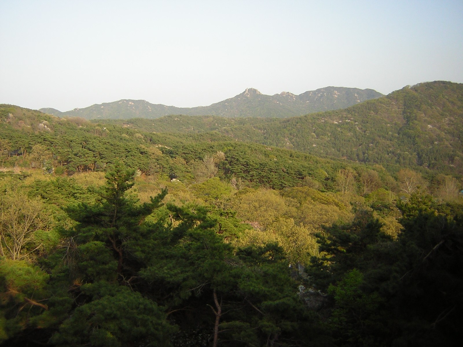 덕숭산(수덕산)