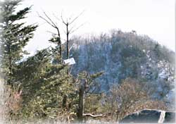 백덕산