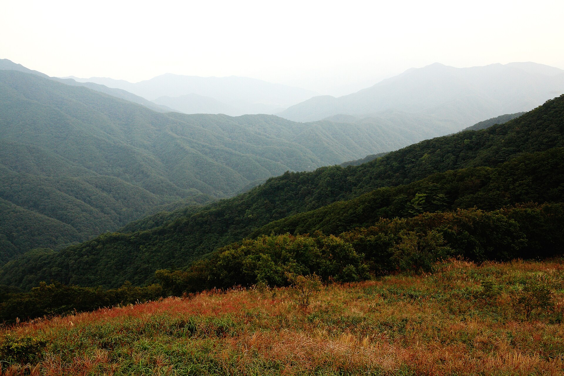 장안산
