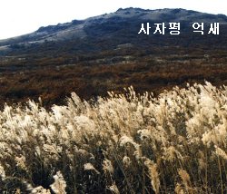 재약산