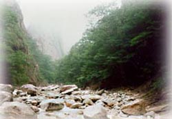 점봉산