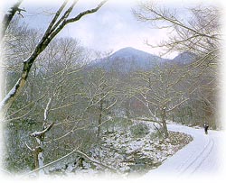 조계산