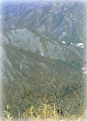 황장산