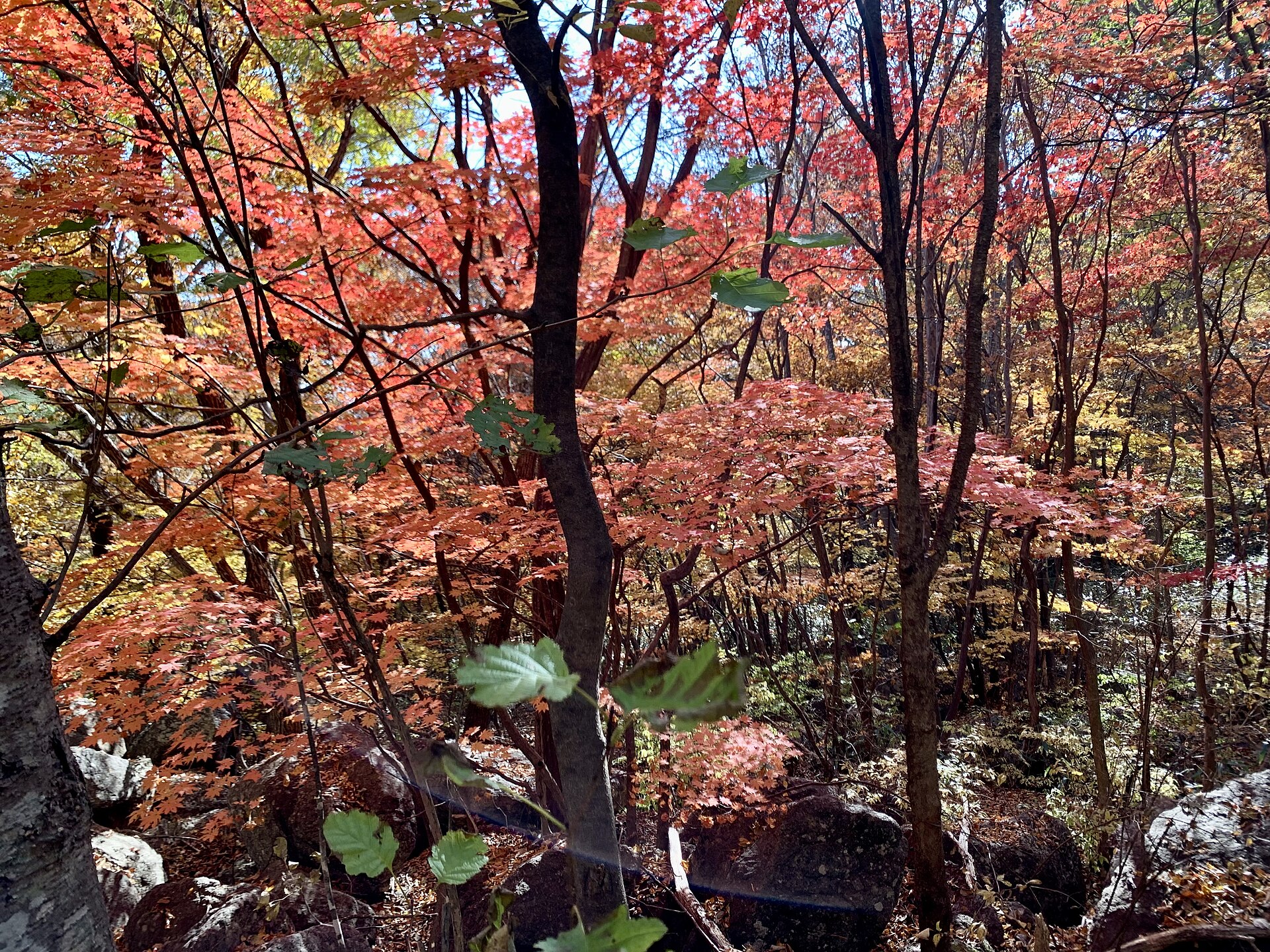 지리산